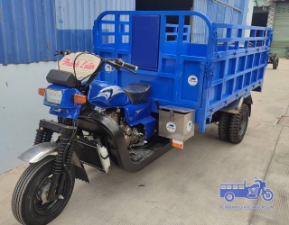 Xe Ba Bánh Thành Luân 