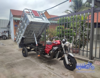 XE BEN ĐỎ VAI ĐÔI 