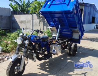 Xe Ben GIá Rẻ