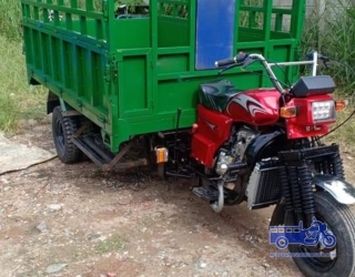 Xe không ben xanh lá 