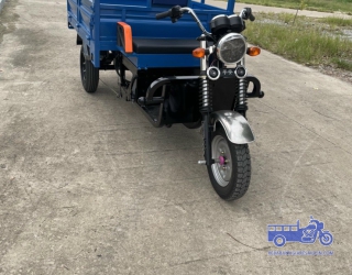MẪU XE ĐIỆN RÁP