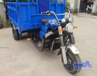 MẪU XE CHỞ CÂY CẢNH
