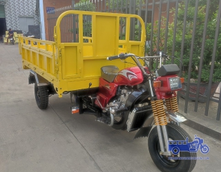 MẪU XE CHỞ HÒM