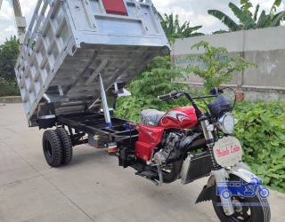 Xe Ben Chở Gia Súc