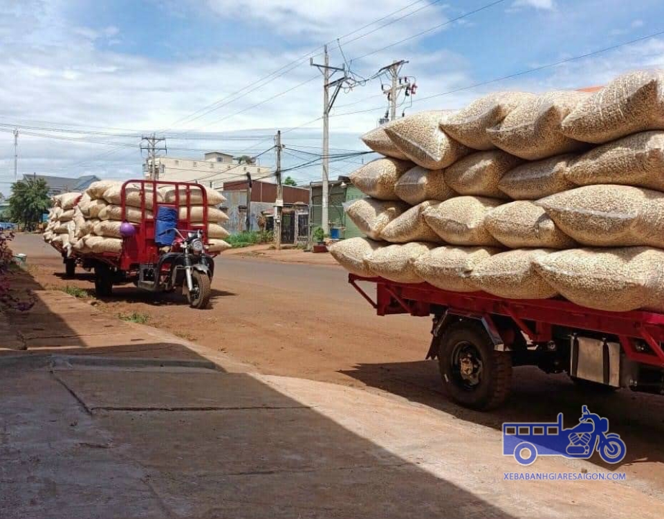 XE CHỞ NÔNG SẢN