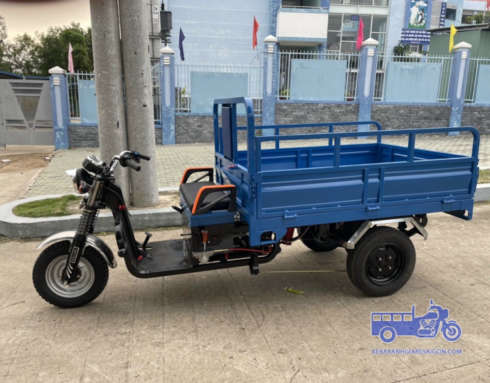 MẪU XE ĐIỆN RÁP