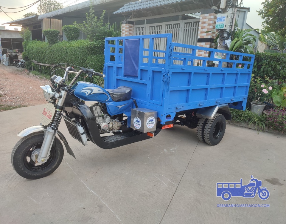 MÂU XE CHỞ TRÁI CÂY
