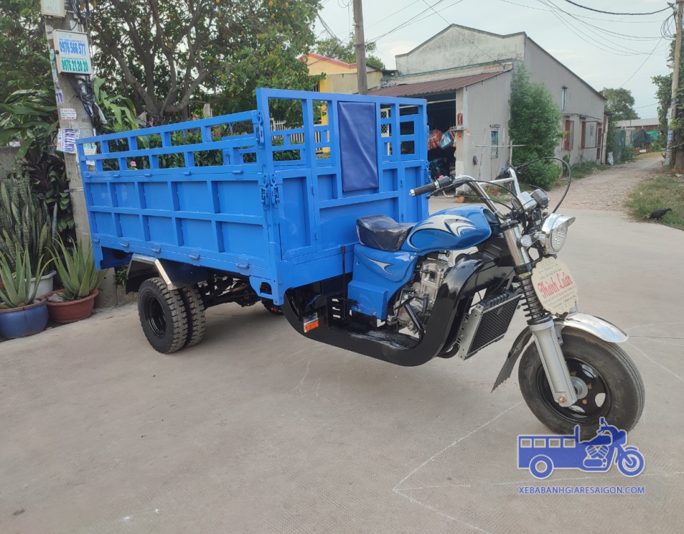 MÂU XE CHỞ TRÁI CÂY